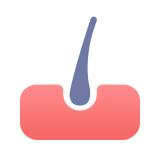 탈모 & 모발 건강 아이콘 첫번째 줄 이미지