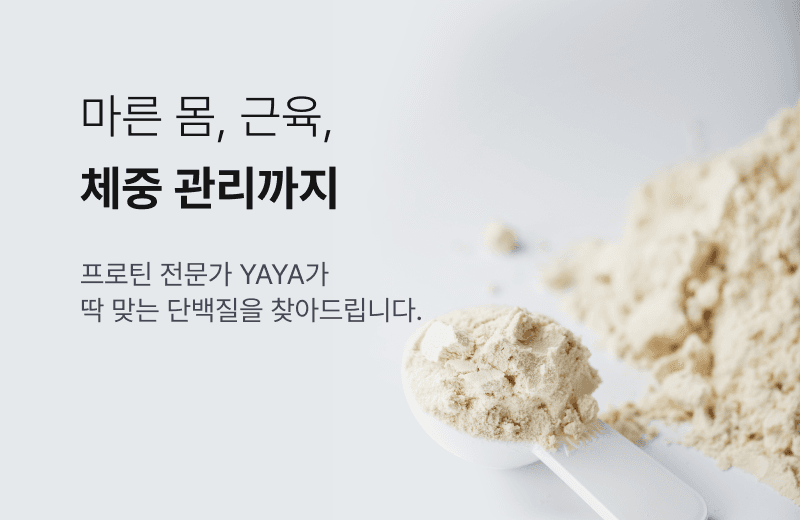 2번째 약알 태블릿 배너 이미지