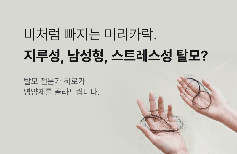4번째 약알 태블릿 배너 이미지