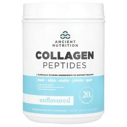 닥터 엑스/엔시언트 뉴트리션 Ancient Nutrition, 콜라겐 펩타이드, 무맛, 560g(1.23lb)