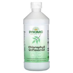 다이나믹 헬스 래보래토리즈 Dynamic Health, 엽록소, 무맛, 473ml(16fl oz)