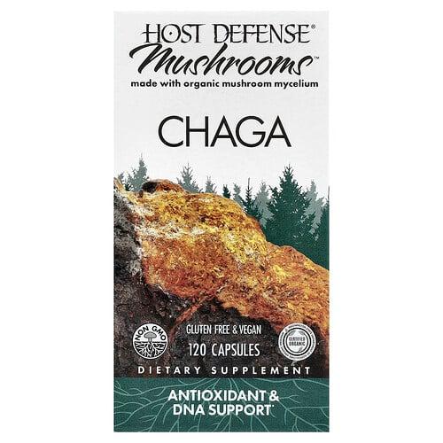 호스트 디펜스 Host Defense, Mushrooms™, 차가버섯, 캡슐 120정(캡슐당 0.5g)