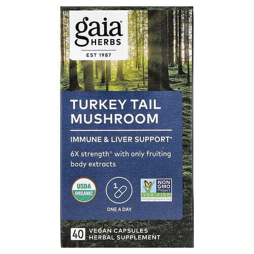 가이아 허브 Gaia Herbs, 구름버섯, 베지 캡슐 40정(캡슐 1정당 400mg)