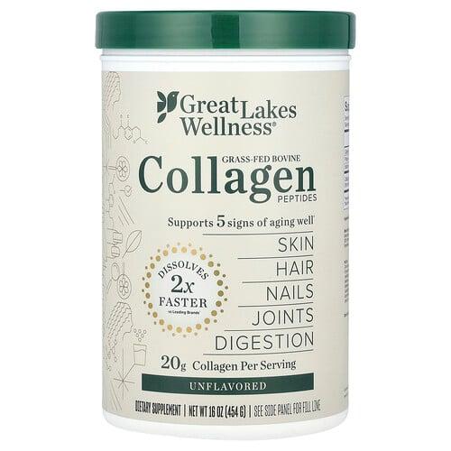 그레잇 레이크 웰니스 Great Lakes Wellness, 빠른 용해 콜라겐 펩타이드, 데일리 웰니스, 무맛, 454g(16oz)