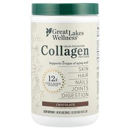 그레잇 레이크 웰니스 Great Lakes Wellness, 목초 사육 우피 콜라겐 펩타이드, 초콜릿, 284g(10oz)