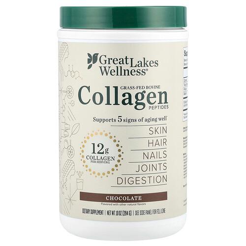 그레잇 레이크 웰니스 Great Lakes Wellness, 목초 사육 우피 콜라겐 펩타이드, 초콜릿, 284g(10oz)