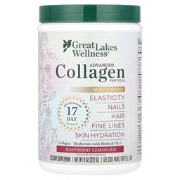 그레잇 레이크 웰니스 Great Lakes Wellness, 어드밴스드 콜라겐 펩타이드, 라즈베리 레모네이드, 227g(8oz)