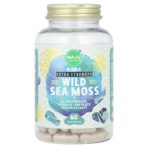 마주 슈퍼푸드 Maju Superfoods, 야생 바다 이끼, 캡슐 60정 상품 이미지