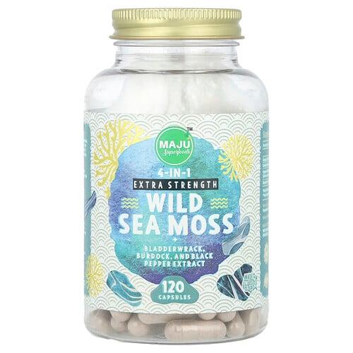 마주 슈퍼푸드 Maju Superfoods, 야생 바다 이끼, 캡슐 120정