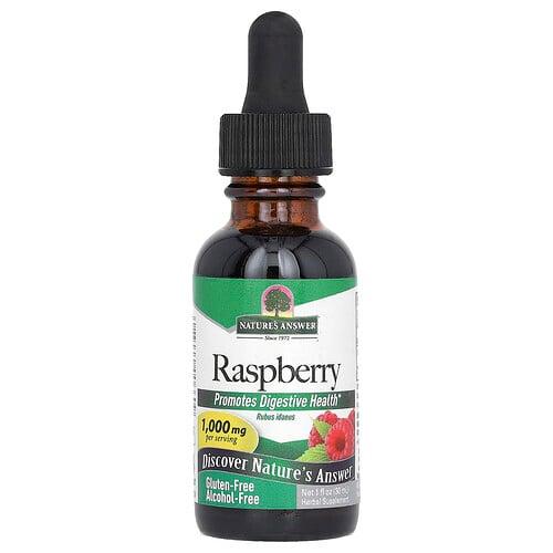 네이쳐스 엔서 Nature's Answer, 라즈베리, 알코올 무함유, 1,000mg, 30ml(1fl oz)
