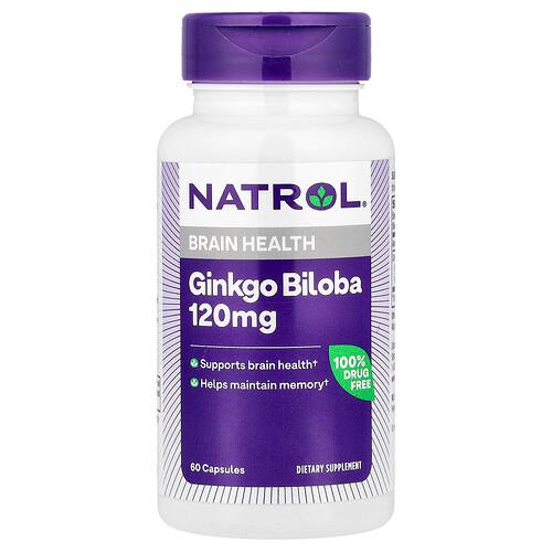 네트롤 Natrol, 징코 빌로바, 60캡슐
