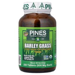 파인 인터네셔날 Pines International, 보리싹, 250정