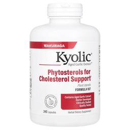 쿄릭 Kyolic, Aged Garlic Extract™, 포뮬라 107, 캡슐 240정