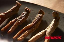 [알아봅시다] 홍삼 제품은 왜 6년근일까