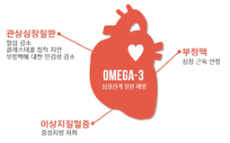 [질환과 맞춤 영양소] 오메가-3를 가까이하면 심혈관 건강이 보인다!