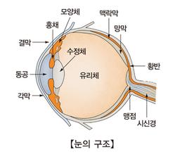 [질환백과] 야맹증