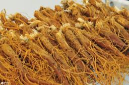 홍미삼? 홍삼근? 홍삼 뿌리와 몸통의 차이점! [출처] 홍미삼? 홍삼근? 홍삼 뿌리와 몸통의 차이점!