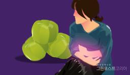 [성분이야기 ⑰ #가르시니아 추출물 편] 다이어트 보조제 성분..."안전성 입증 되어 있지 않아, 소비자 주의 각별"  