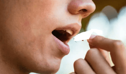 곤충은 아주좋은 단백질원이죠