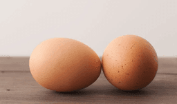 근육이 원하는 그 한 스푼!