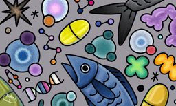 오메가3, 2만원 vs 5만원 차이의 비밀