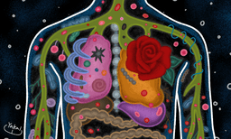 ‘철분’ 영양제를 평가한 방법 