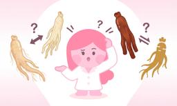 인삼, 수삼, 백삼, 홍삼 — 도대체 뭐가 다른거예요?