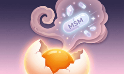 달걀 삶을 때 나는 그 냄새, 사실 몸에 꼭 필요한 성분이라구요?