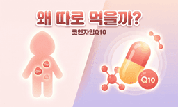 코엔자임 Q10, 몸이 직접 만드는데 왜 따로 먹어야 할까요?