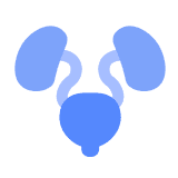 비뇨기 건강 지원