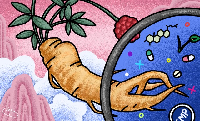 홍삼/인삼, 해피는 어떻게 평가했을까?