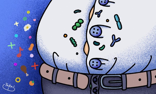 요즘 바지가 끼는 당신, 유산균으로 살이 빠질까요?