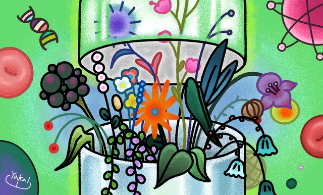 ‘엽산’ 영양제를 평가한 방법 