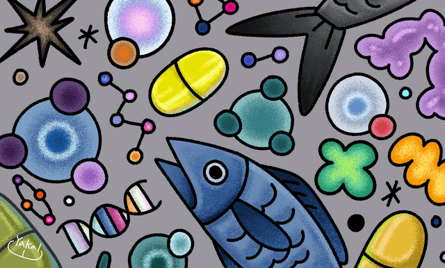 오메가3, 2만원 vs 5만원 차이의 비밀