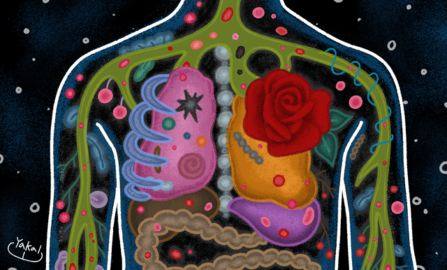 ‘철분’ 영양제를 평가한 방법 