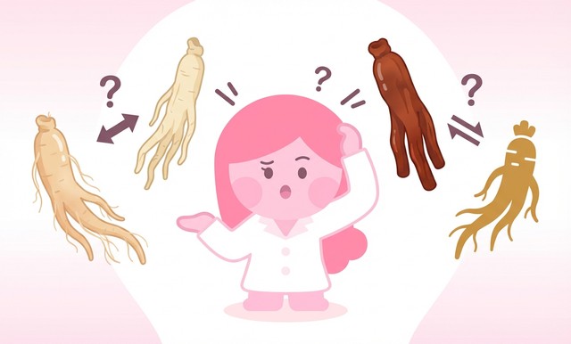 인삼, 수삼, 백삼, 홍삼 — 도대체 뭐가 다른거예요?