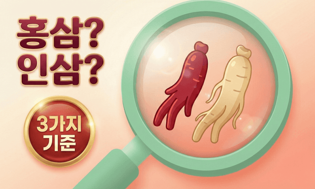 홍삼/인삼, 뭘 보고 사세요? — 약사는 이 3가지로 평가합니다!