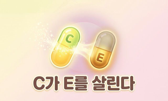 항산화 콤비, 비타민 C가 비타민 E를 살린다