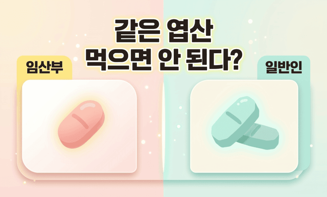 임산부와 일반인, 같은 엽산을 먹으면 안 된다구요? 