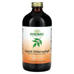 다이나믹 헬스 래보래토리즈 Dynamic Health, 액상 엽록소, 천연 스피어민트, 473ml(16fl oz)