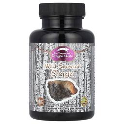 드래곤 허브 Dragon Herbs, Wild Siberian Chaga™, 450mg, 캡슐 100정