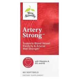 테리 내추럴리 Terry Naturally, Arterystrong™, 소프트젤 60정