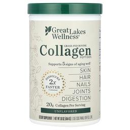그레잇 레이크 웰니스 Great Lakes Wellness, 빠른 용해 콜라겐 펩타이드, 데일리 웰니스, 무맛, 454g(16oz)
