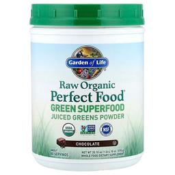 가든 오브 라이프 Garden of Life, Raw Organic Perfect Food® 그린 슈퍼 푸드, 초콜릿, 570g(1lb 4.1oz)
