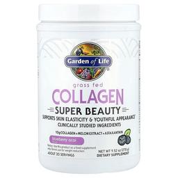 가든 오브 라이프 Garden of Life, 목초 사육 콜라겐, 슈퍼 뷰티, 블루베리 아사이, 270g(9.52oz)