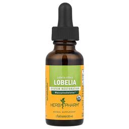 허브 팜 Herb Pharm, 로벨리아, 30ml(1fl oz)