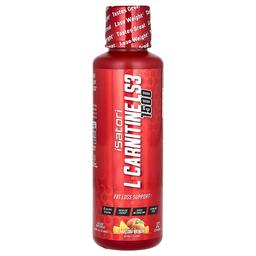 이사토리 Isatori, l-카르니틴 LS3 1500, 말리부 비치, 1,500mg, 480ml(16fl oz)