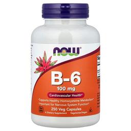 나우푸드 NOW Foods, B-6, 100mg, 베지 캡슐 250정