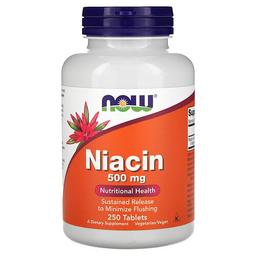 나우푸드 NOW Foods, 나이아신, 500 mg, 250 정