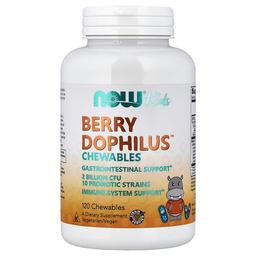 나우푸드 NOW Foods, 어린이용, Berry Dophilus™ 츄어블, 츄어블 120정